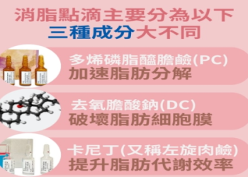 多益得PTT評價如何？網友真實心得與使用攻略分享