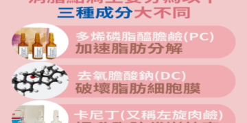 多益得PTT評價如何？網友真實心得與使用攻略分享