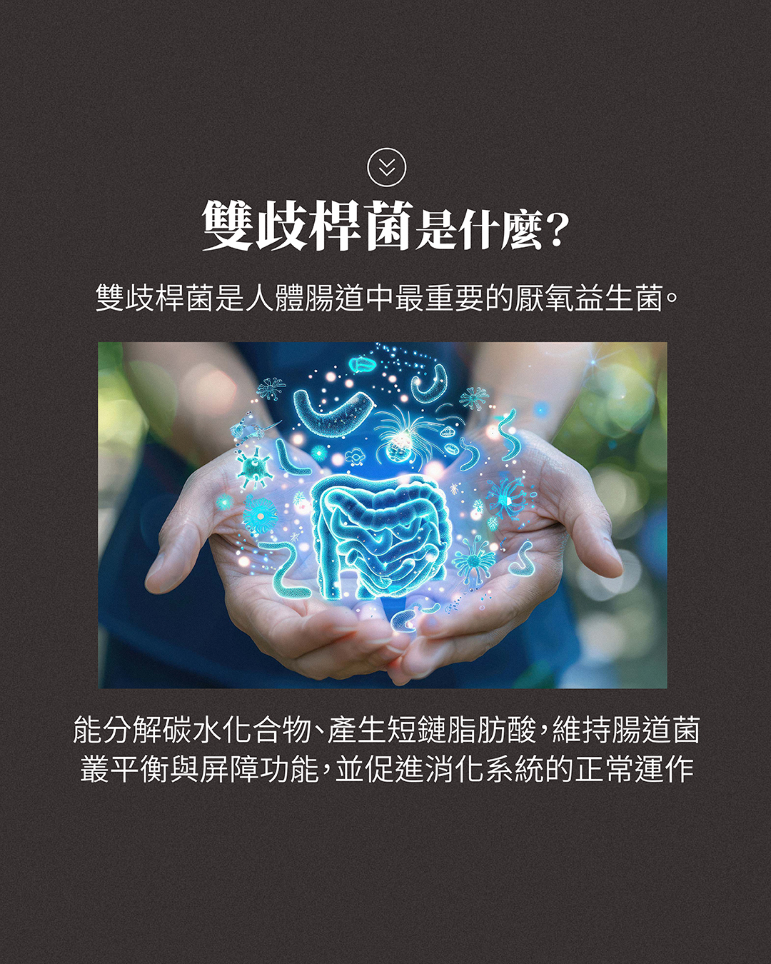 活益比菲多功效全解析:改善腸道健康與提升免疫力指南